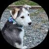 alaska_hat_guy